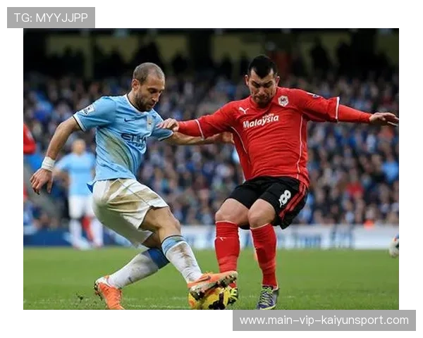 南非投球火力强劲，成功限制对手得分，南非球赛